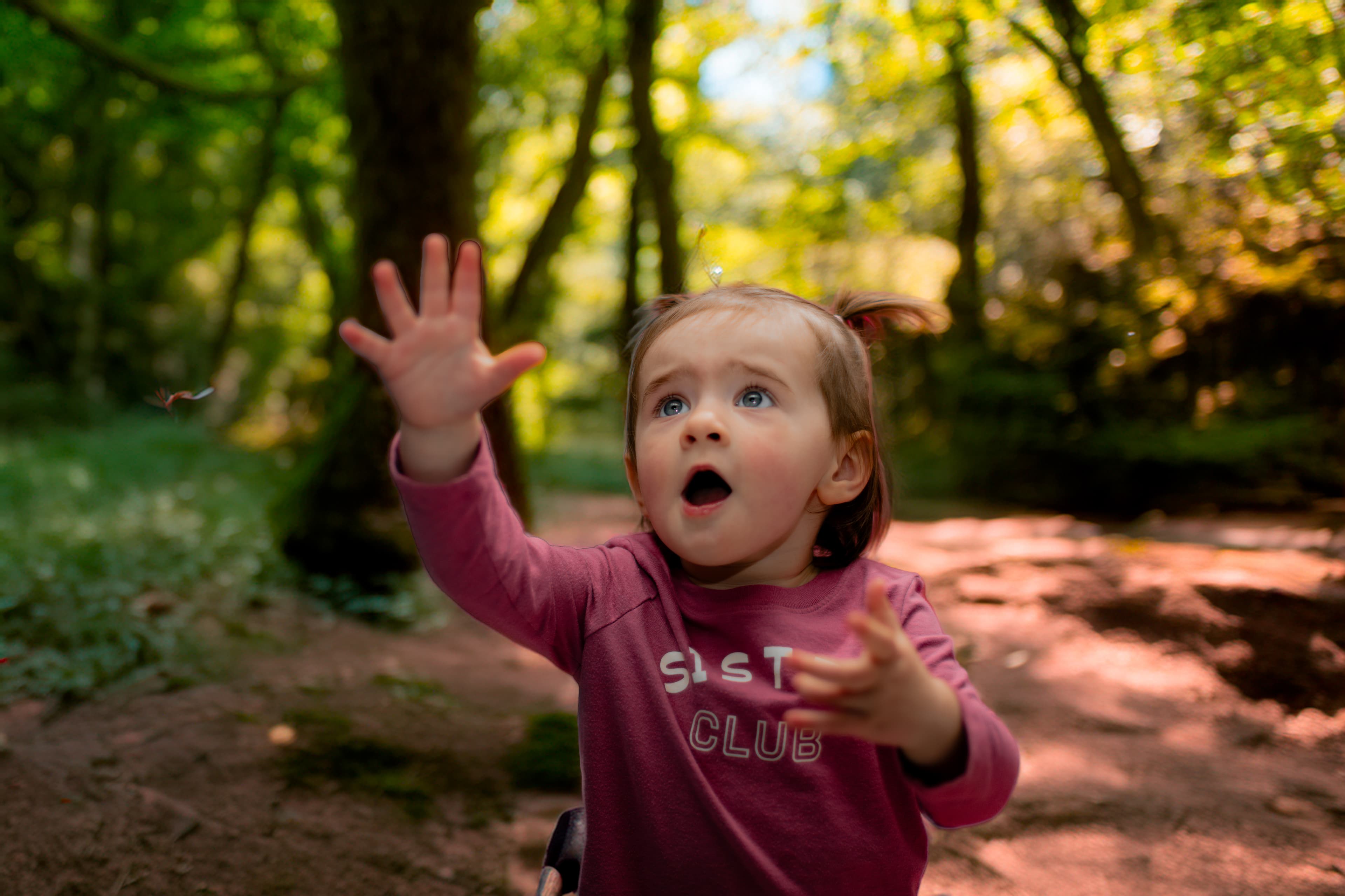 Surprised toddler girl with pigtails reaches her hands up in a sunlit green forest.